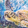 Sea Turtle