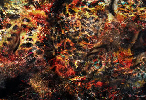 2781593d99bc37aefe86e7feceda3be0 Sleep Leopards