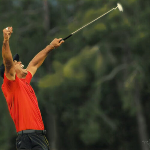 35c669a024ab13dbcb786aacb4d708fd Tiger Woods