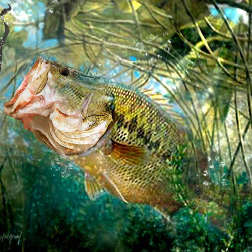 64f02dff7f195f11ecc47d04e4134327 Floppin