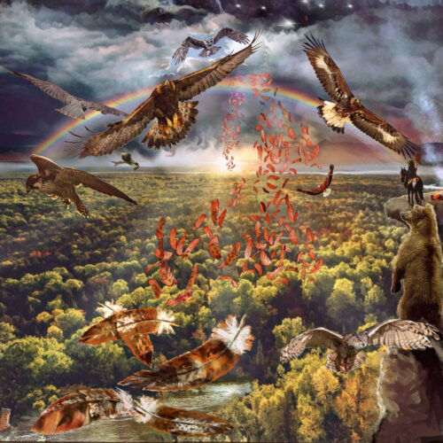 d8a4f88db1441aeebc0f562f23c46fa2 All children matter